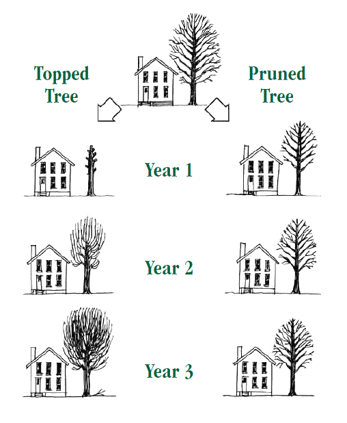 008-figure-pruning-comparison