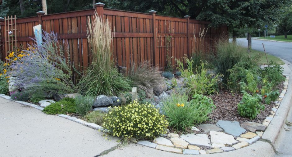 Landscaping Mistakes