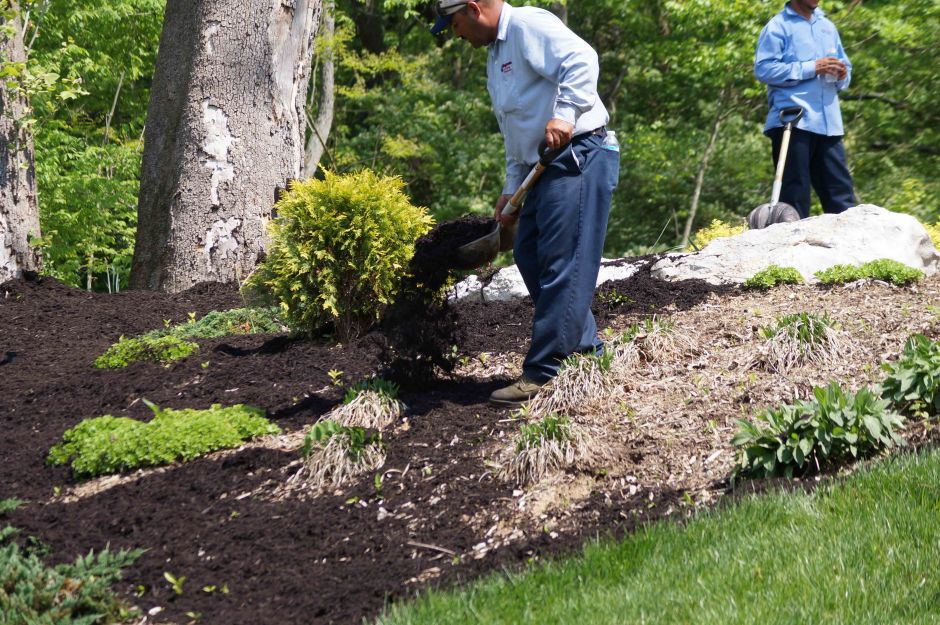 Soil & Mulch Bluegrass Lawncare