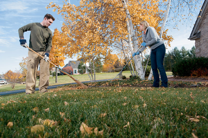 Don’t Forget Fall Cleanup: 4 Things to Remember | Bluegrass Lawncare
