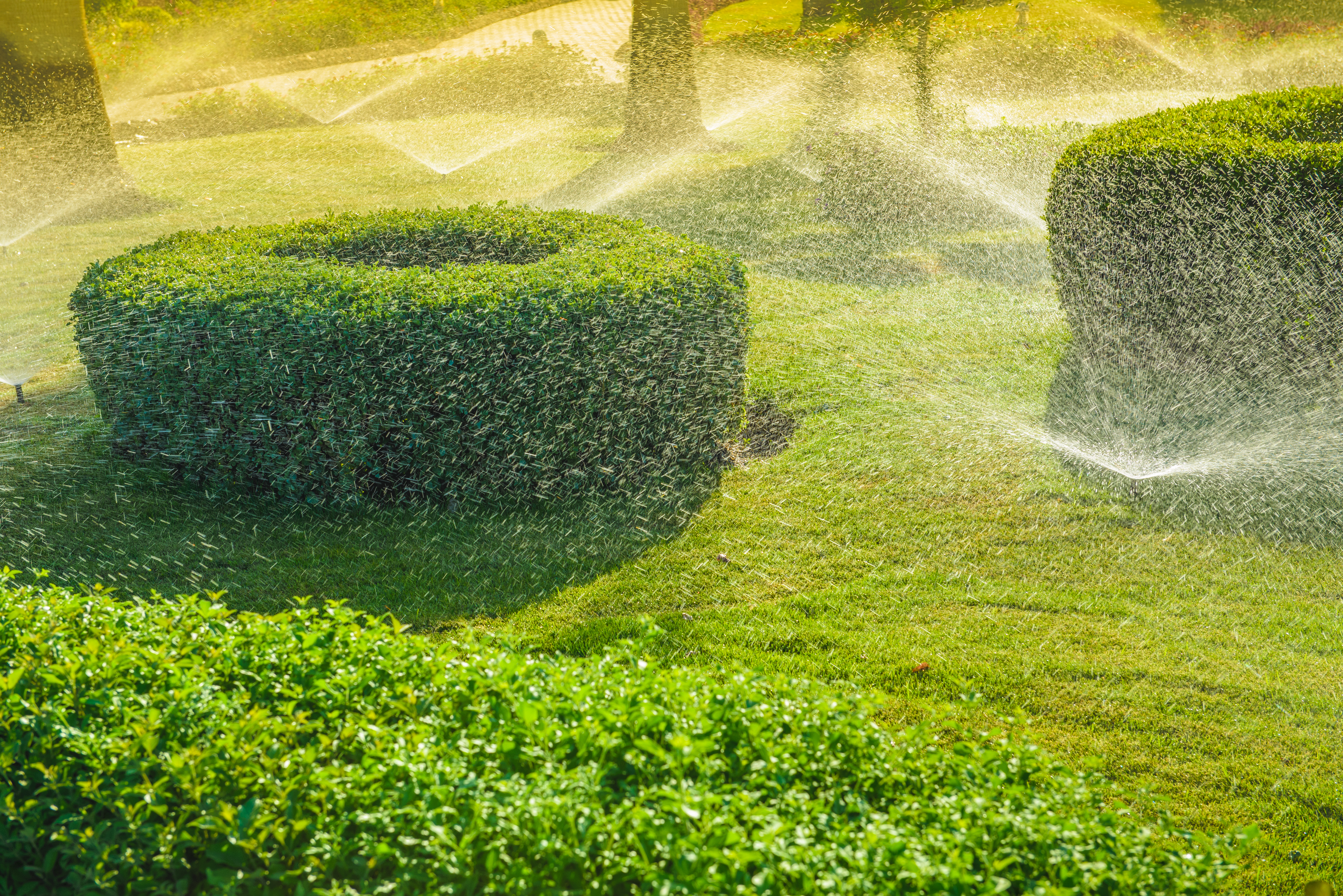 Detail of a working lawn sprinkler head watering the grass