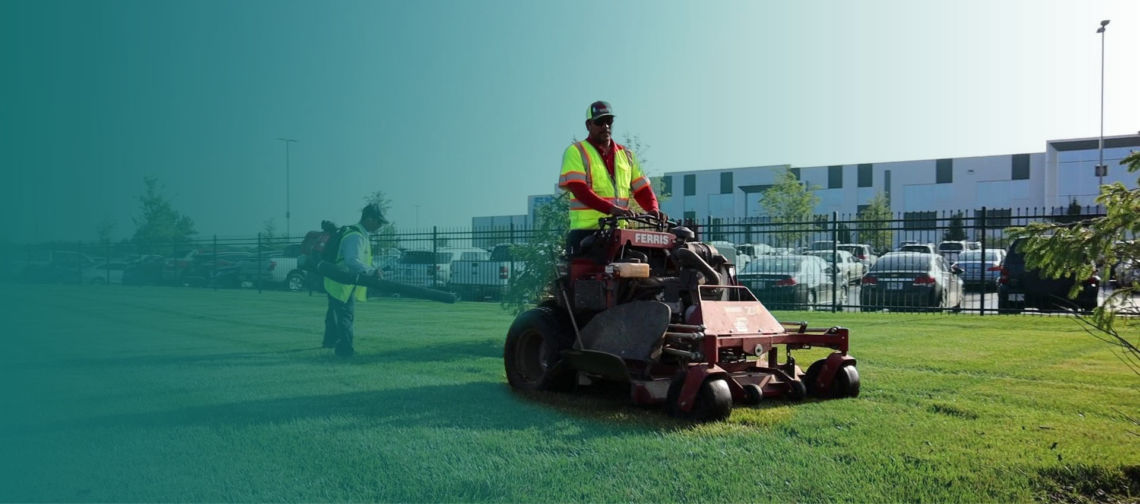 Bluegrass on commercial mower