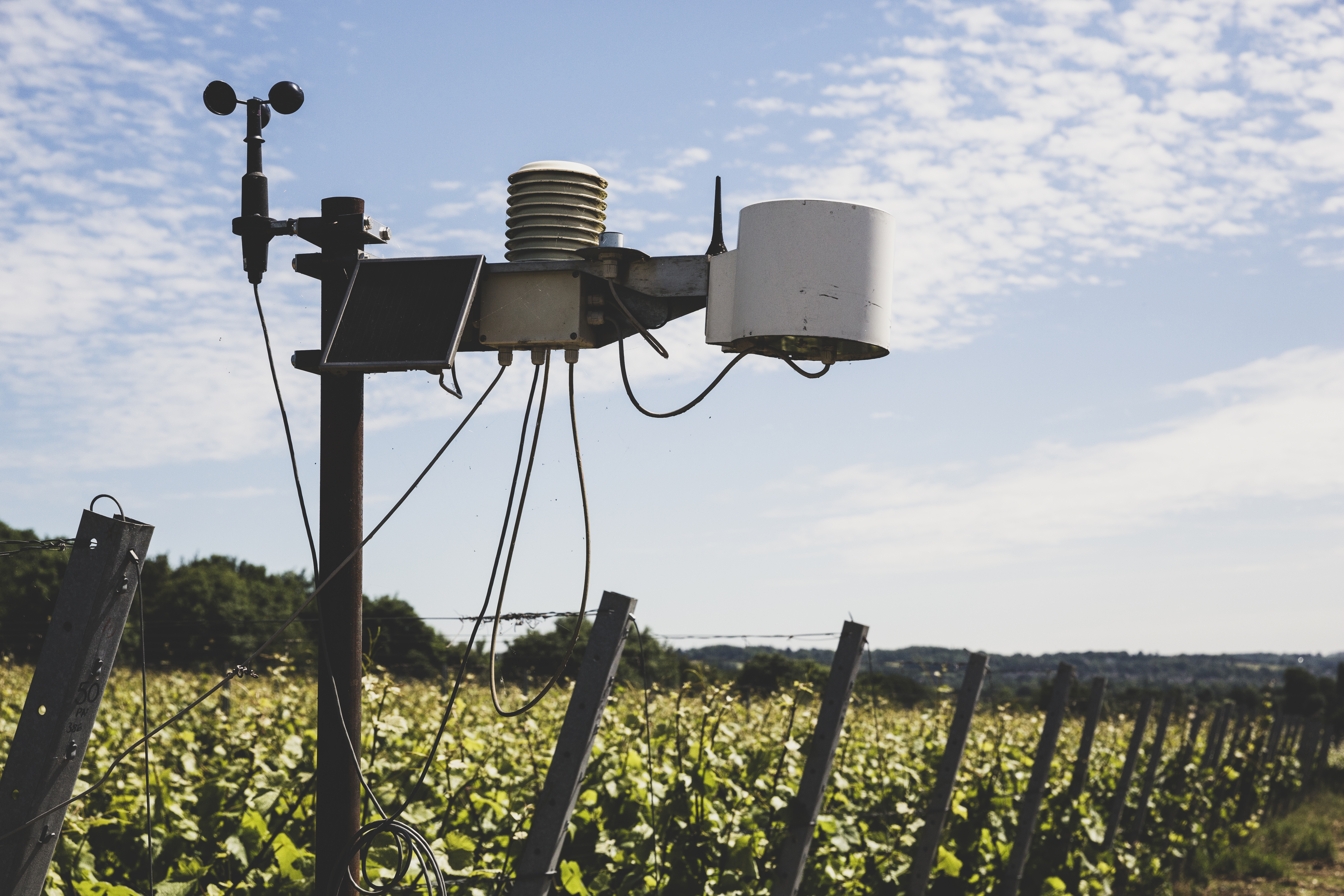 Rain Sensor