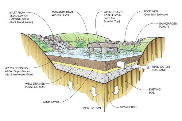 Bioretention Basin