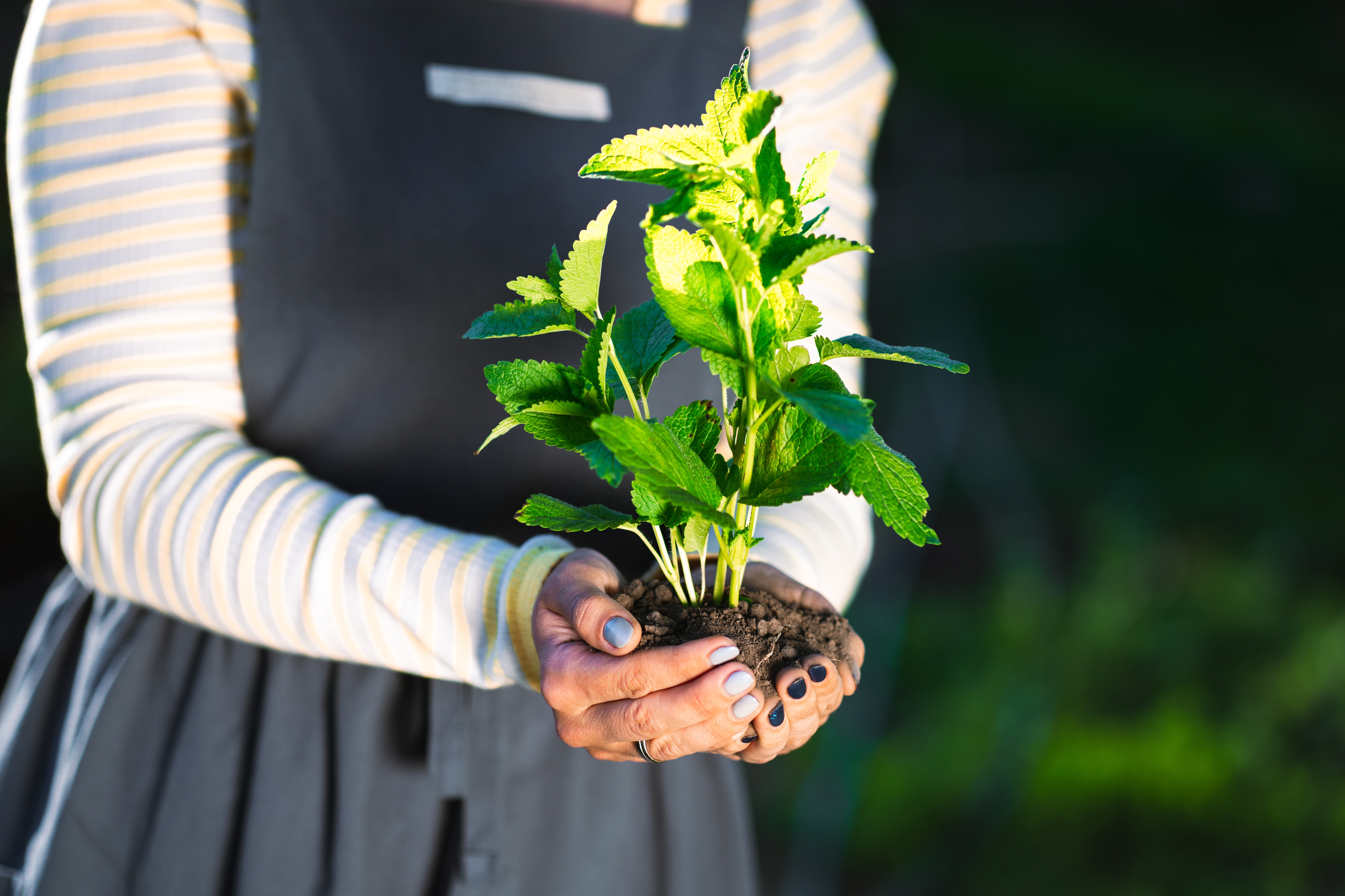 Sustainability 2