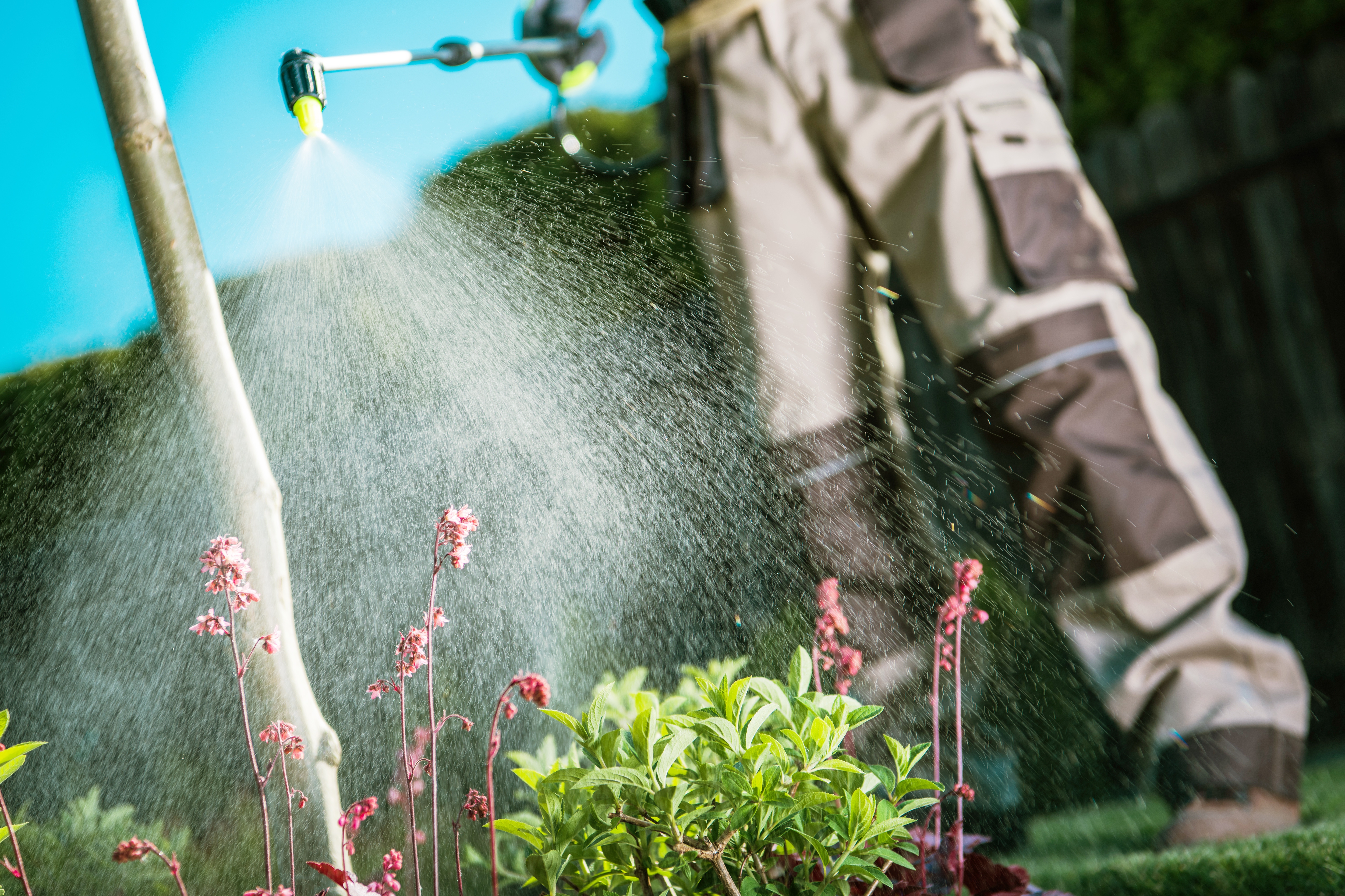 Fertilizer