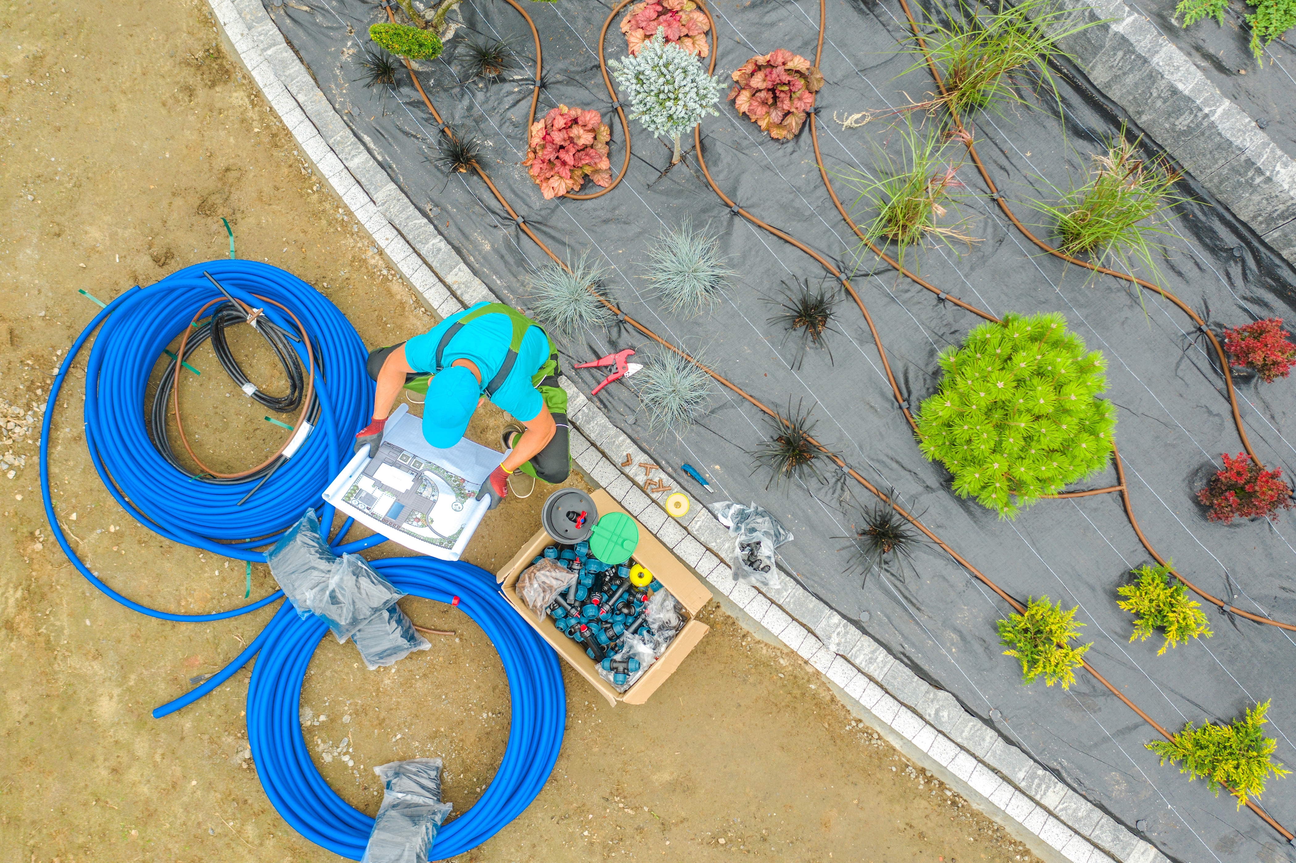landscape water conservation - drip irriagtion
