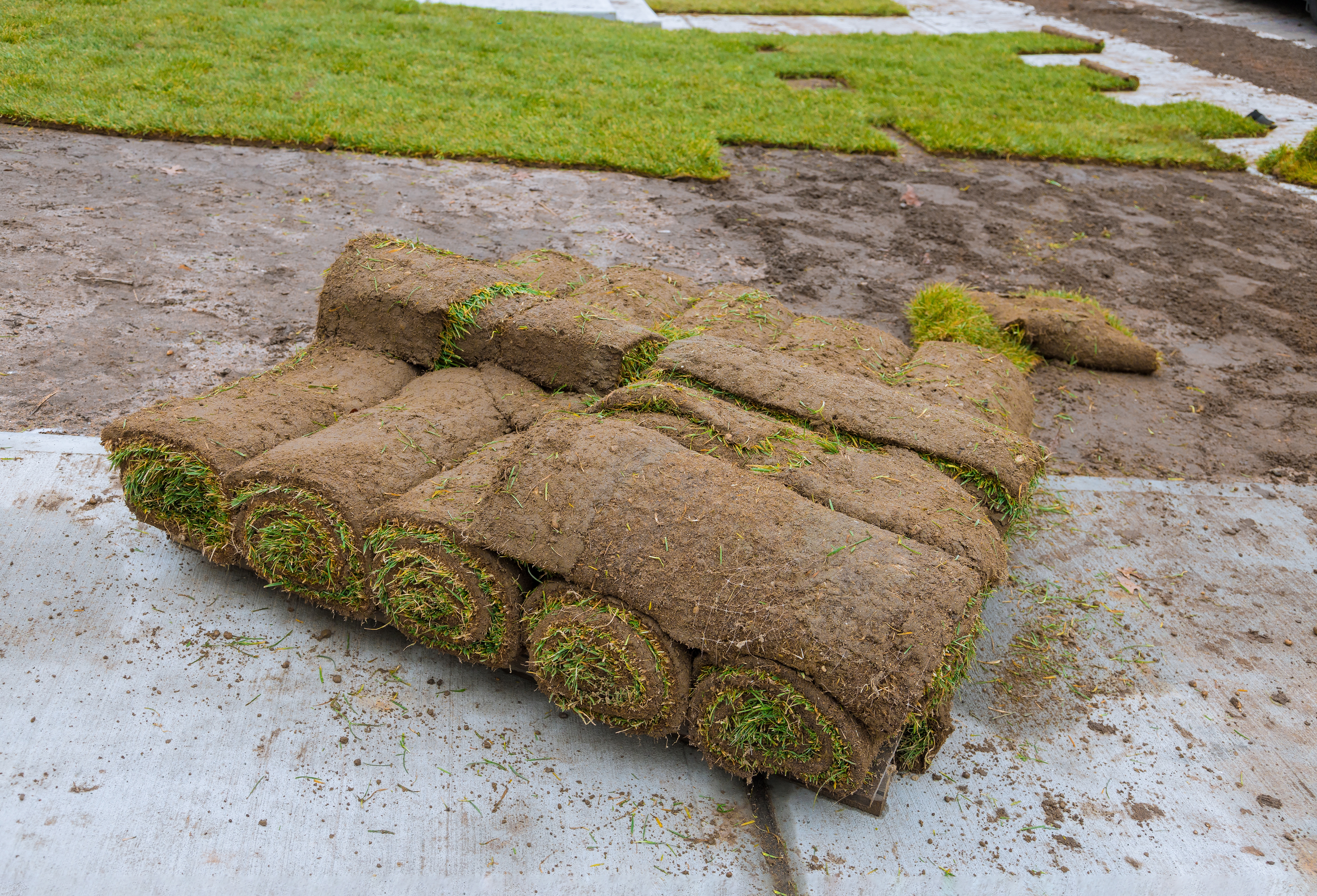commercial-sod-installation