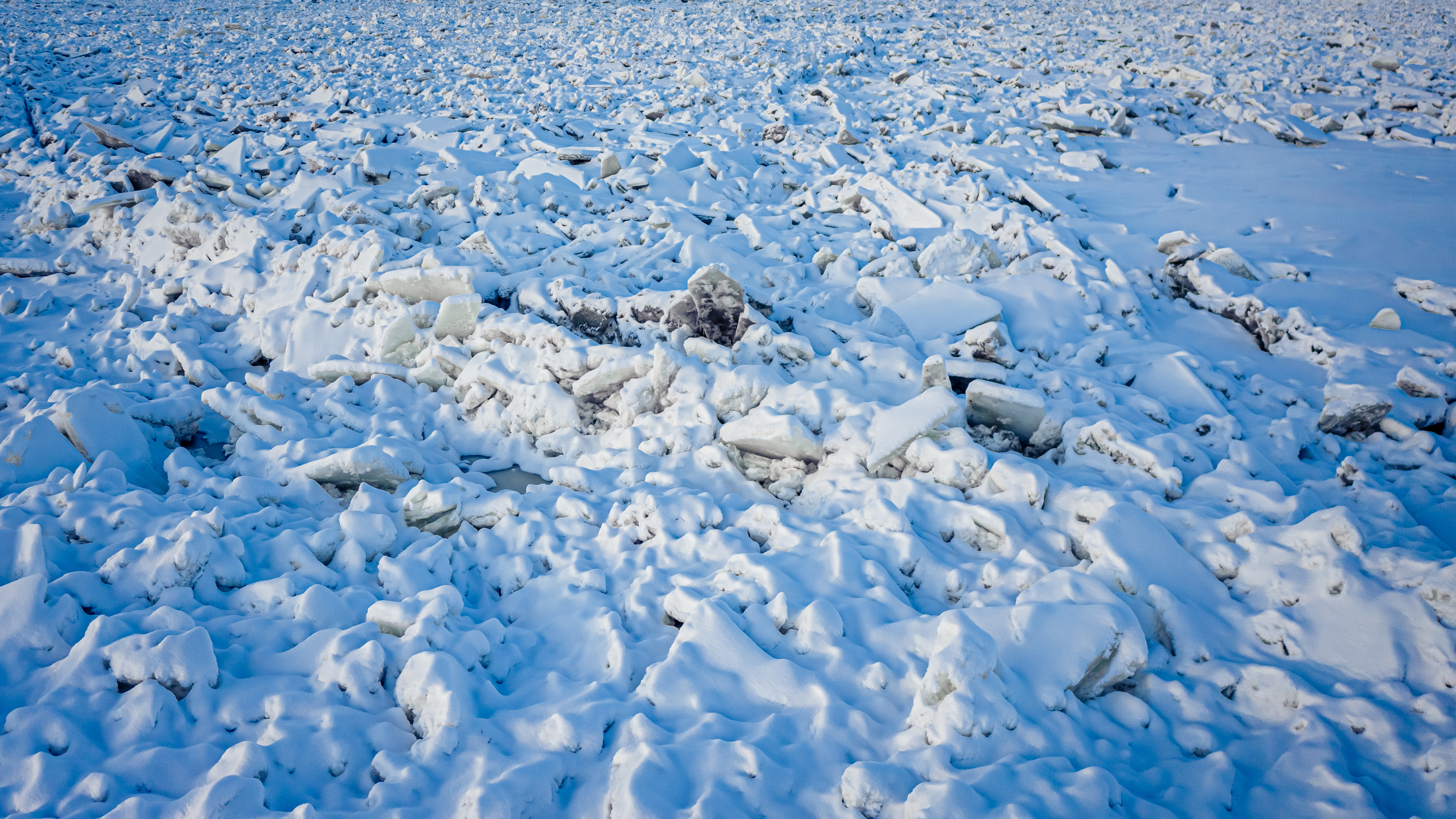 Spring Cleanup, winter debris
