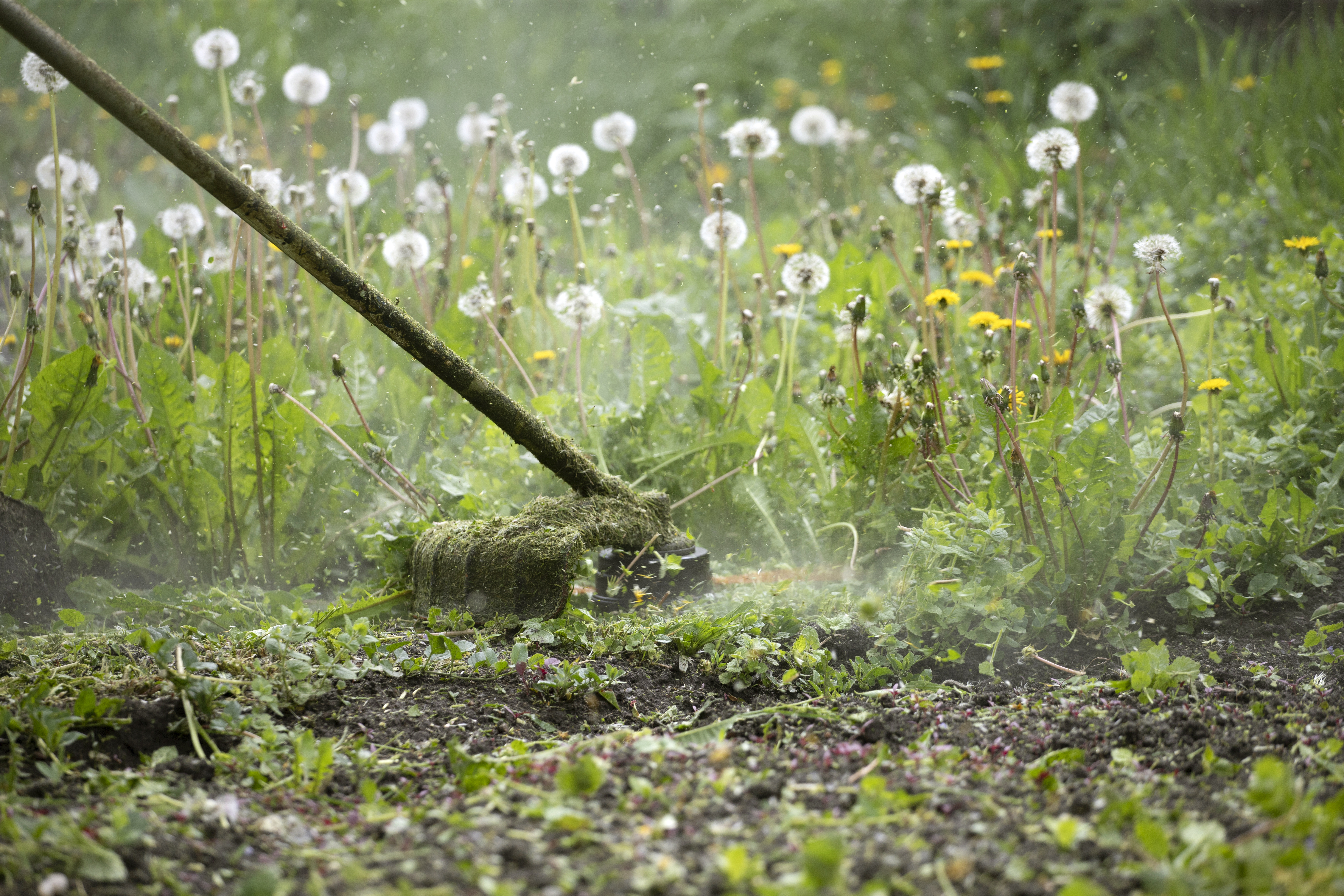 post-emergent-herbicides