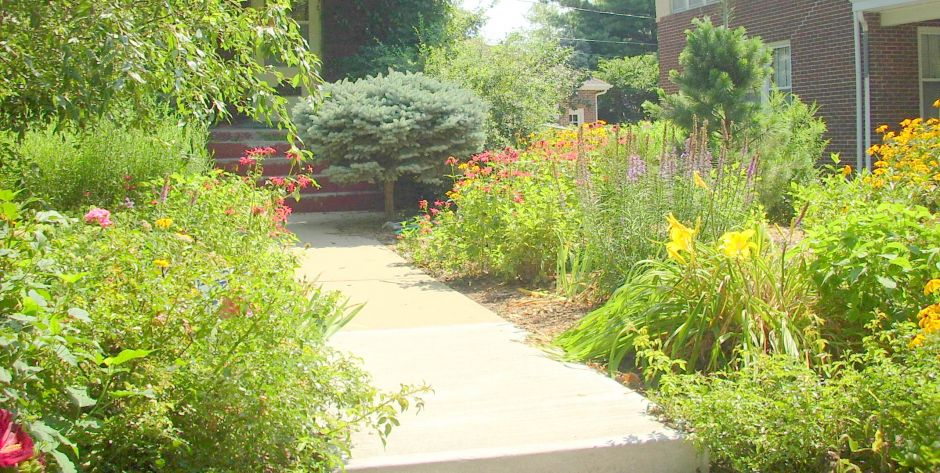 5 Benefits of Using Native Plants For A Sustainable Landscape | Bluegrass  Lawncare