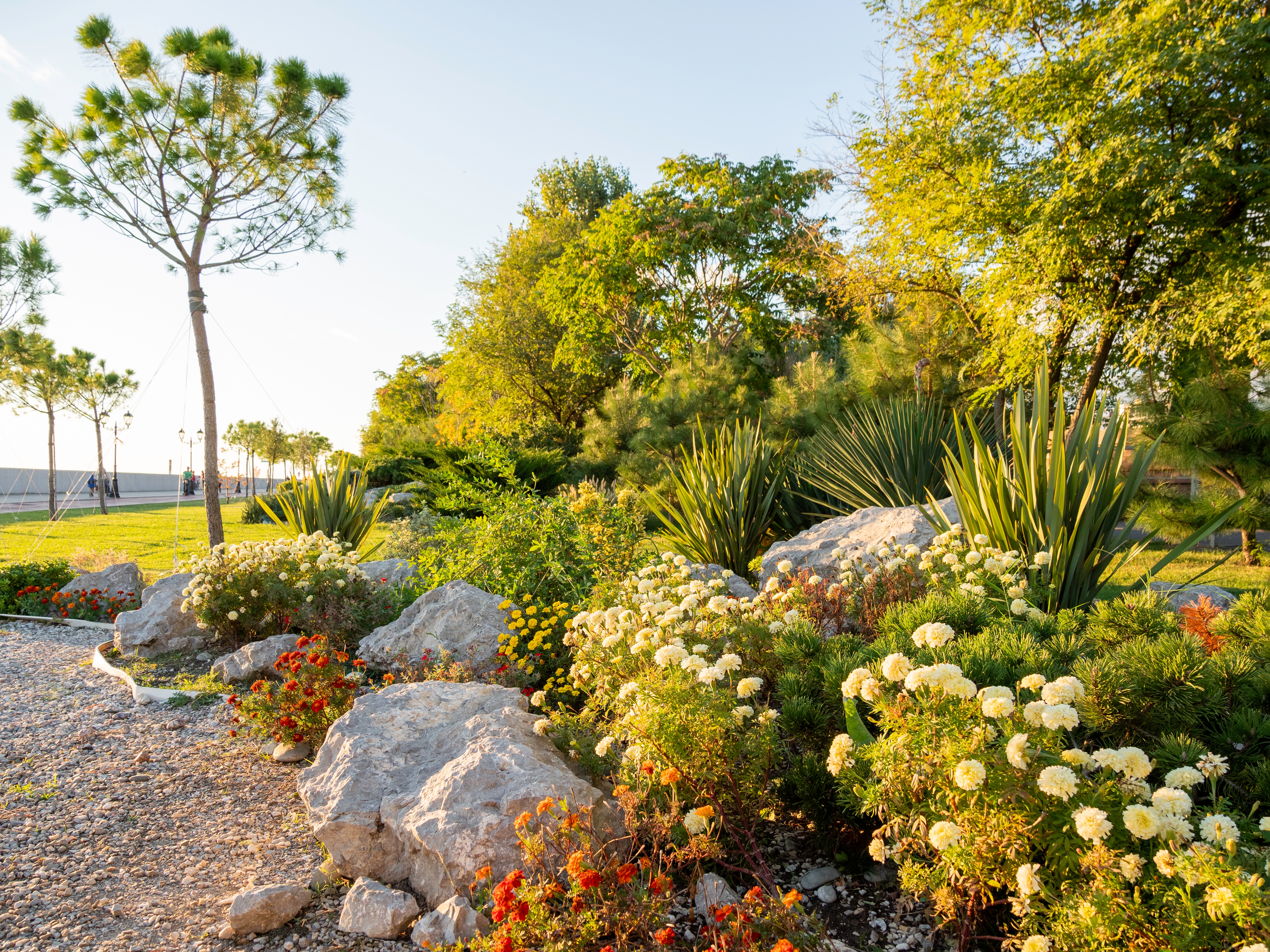 sustainable landscapes
