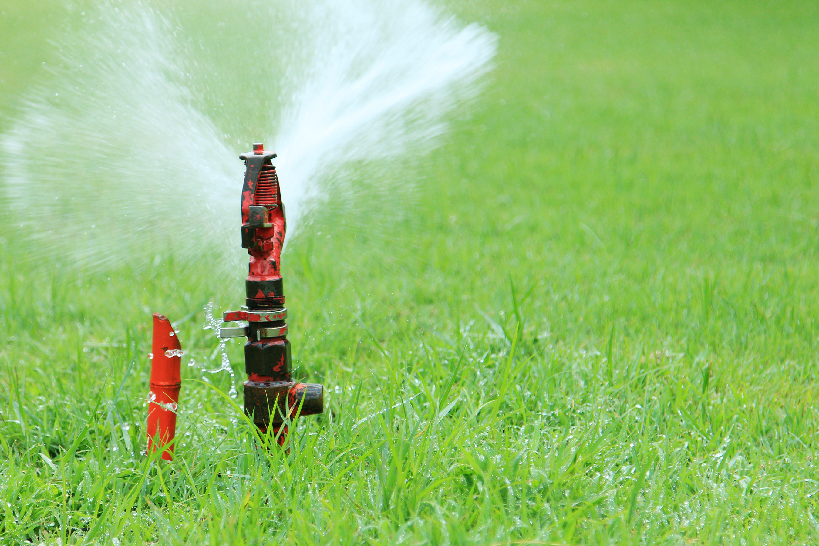 Drip Irrigation